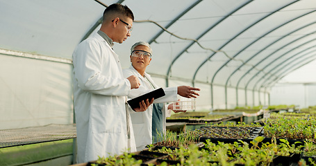 Image showing Science, tablet and people in a farm greenhouse for agriculture, sustainability or growth in medical industry. Teamwork, research or innovation with a man and woman scientist looking at plant life