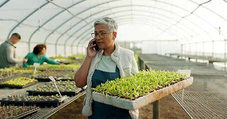 Image showing Manager, phone call and greenhouse plants, farming or agriculture communication, growth and agro business management. Senior woman, farmer or supplier talking on mobile with sprout tray and gardening