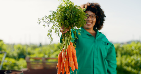 Image showing Farmer, woman and carrot in agriculture, greenhouse and farming for sustainability, grocery and gardening offer. Worker portrait or supplier of vegetables, food and ngo, nonprofit or business harvest