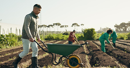 Image showing Man, wheelbarrow and soil for working on farm for agribusiness, landscaping or gardening in countryside. Person, walk and field for nutrition, eco development or future growth by planting for harvest