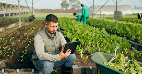 Image showing Farmer, tablet and greenhouse plants, farming and gardening for agriculture, green product and business. Manager, man or entrepreneur with agro harvest or vegetables and typing on digital technology