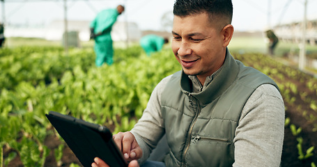 Image showing Tablet, innovation and a man in a farm greenhouse for growth, sustainability or plants agriculture. Technology, research and agribusiness with a farmer tracking crops in season for eco science