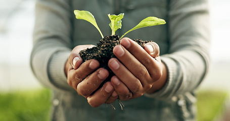 Image showing Person hands, plants and gardening soil in sustainability, eco friendly farming and vegetables in agriculture. Worker or Farmer palm with sprout, growth and fertilizer for agro project in greenhouse