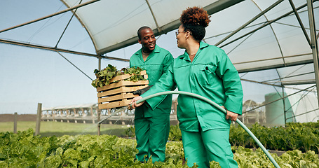 Image showing Greenhouse, agriculture and employees watering plants for growth, quality and food production. Sustainable business, agro farming and vegetables, man and woman with water, lettuce and development.
