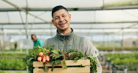 Image showing Farmer, man and vegetables box of agriculture, sustainability and farming in greenhouse or agro business. Portrait of happy seller gardening, green product harvest or healthy food in groceries basket