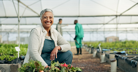 Image showing Mature woman, greenhouse and portrait with working and agriculture work with a smile of farmer. Sustainability, plants and garden soil with agro career and farming with produce and growth inspection