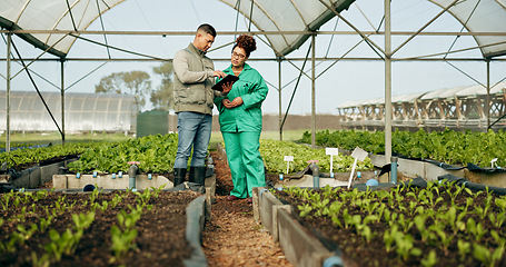 Image showing Farmer, woman and tablet in greenhouse or agriculture gardening for land growth, compost or business. Man, inspection person and talking vegetable dirt for online checklist, nature soil or compliance