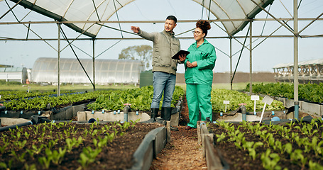 Image showing Man, woman and tablet in greenhouse or agriculture gardening, land growth or compost business. Farmer, teamwork and vegetable dirt or inspection manager for soil field for nature, compliance or plant