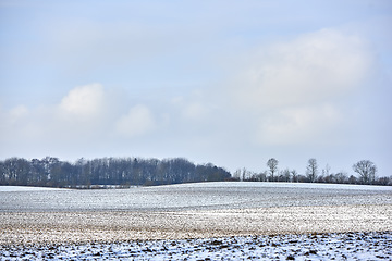 Image showing Open field with snow in winter on a farm with copy space during the day in nature. Landscape of frozen icy grass in a snowy open field and forest trees in the background in the cold countryside