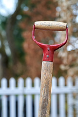 Image showing Gardening tool, an old wooden shovel standing in dirt outside in a backyard with blurred white picket fence in autumn background. Closeup handle of garden equipment isolated with bokeh copy space