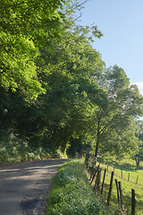Image showing Countryside road through agricultural fields shaded by trees against a clear blue sky. Quiet nature landscape of woods and field or meadow on an empty path. On route to a quiet and peaceful place
