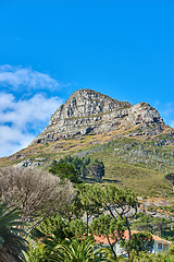 Image showing Beautiful landscape of Lions Head mountain and surrounding green trees and grass with bright blue sky. Stunning close up detail of mountain with copy space during summer in Cape Town, South Africa