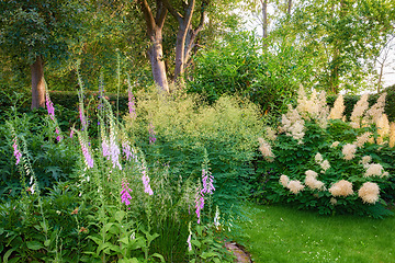 Image showing Beautiful mixed garden of flowers and trees. A variety of different natural plants in nature in the day. Magical, scenic cultivated lawn in a home garden. Various floral species together in nature