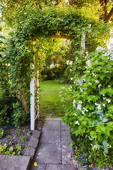 Image showing Big outside door in nature to beautiful garden. Decorative neglected arched iron entrance to grass, plants, stone, lush greenery and trees. Busy over grown path with entangled roots on a sunny day.