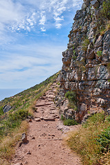 Image showing A footpath on mountain in Cape Town, South Africa. Outdoor trail for exploring in a peaceful, breathtaking cliff on Lions Head. Quiet nature in harmony, lush green growth on a peaceful, sunny morning