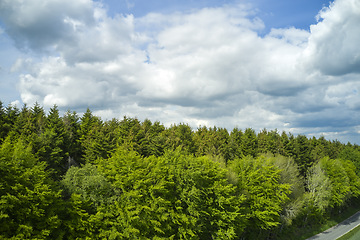 Image showing Forest of trees under a cloudy blue sky along a narrow road. Beautiful day out in nature aside the living landscape, green. High view of surroundings under the clouds in the outdoors.