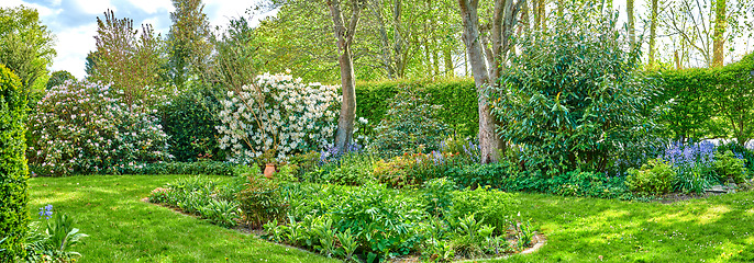 Image showing Landscape of a beautiful garden with manicured lawn and various flowering plants growing on a sunny day outdoors in spring. Vibrant landscaped backyard with overgrown shrubs and flowers