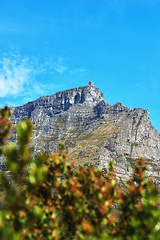 Image showing Landscape of a mountain and plants against a blue sky with copy space. A popular travel destination for tourists and hikers to explore. Relaxing view of Table Mountain in Cape Town, Western Cape