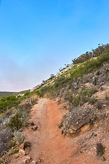 Image showing Hiking trail to explore and travel in nature outdoors along the mountain with clear blue sky background and copy space. Landscape with plants and shrubs alongside a rugged and sandy path on a cliff