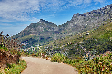 Image showing Beautiful hiking trail on the mountains with a blue cloudy sky background. A zen, nature landscape with a bench overlooking green lush hills and roads for traveling on Table Mountain, South Africa