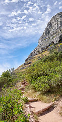 Image showing Beautiful mountain trail on sunny summer day. Rocky area next to colourful plants. Isolated natural space in Table Mountain National park on Lions Head in Cape Town South Africa