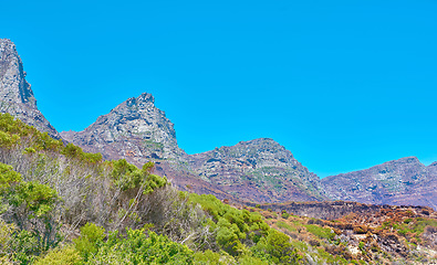 Image showing Copyspace and landscape of The Twelve Apostles mountain with lush pasture, flowers and blue sky copy space. Vegetation on a grassy slope or cliff with hiking trails to explore Cape Town, South Africa