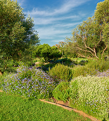 Image showing Beautiful and scenic wonderland in nature, filled with vibrant and bright flowers and trees on the mountainside. Landscape of lush green flora in an untouched, uncultivated and secluded wilderness