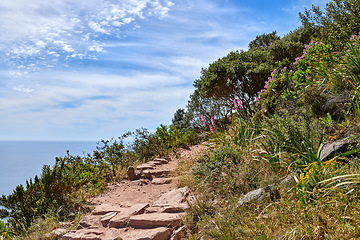 Image showing Rocky mountain trail on sunny summer day in Cape Town South Africa. Hiking path next to colorful plants with ocean background. Isolate terrain found on Lions Head in Table Mountain National Park