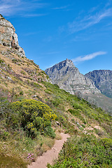 Image showing Landscape of a mountain hiking trail in Cape Town, South Africa. Rocky rural nature with greenery against stunning blue sky and quiet walking route. Popular tourist attraction and adventure location