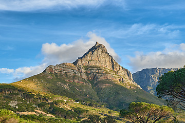 Image showing Copyspace landscape view of mountain with lush trees and plants. Beautiful scenic popular natural landmark and tourist attraction for hiking and adventure on Table Mountain in Cape Town, South Africa