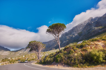 Image showing Countryside road by winding through the mountains on a scenic day. Street on the mountain with green trees and cloudy blue sky copy space. A nature path for traveling or hiking in Cape Town