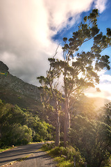 Image showing Scenic landscape view of Table Mountain National Park, Cape Town in South Africa. Beautiful scenery of a natural environment, roads, and the street against a cloudy blue sky in a popular tourist city