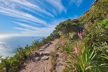 Image showing Beautiful mountain trail for hiking and adventure. Explore the rough terrain and mountainous beauty of the coast. Take a scenic journey in the isolated nature reserve of Table Mountain National park
