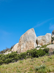 Image showing Beautiful nature surrounding Table mountain in Cape town, South Africa with copy space. Lush green bushes growing in quiet harmony. Peaceful soothing atmosphere of nature on a clear, sunny morning