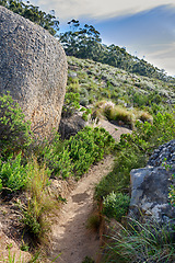 Image showing A hiking trail on a rocky green mountain. Beautiful landscape of a mysterious dirt road leading through wild bushes and plants on a hill with a blue sky. A discovery or explore path in nature