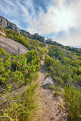 Image showing A mountain trail with cloudy blue sky and lensflare. Landscape of countryside dirt road for hiking on adventure walks along a beautiful scenic trail with lush shrubs in Cape Town, South Africa