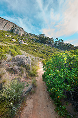 Image showing A hiking trail up a mountain surrounded by lush green plants and nature with a cloudy blue sky. Beautiful landscape of a path on a mountainside near bright foliage with copy space on a summer day