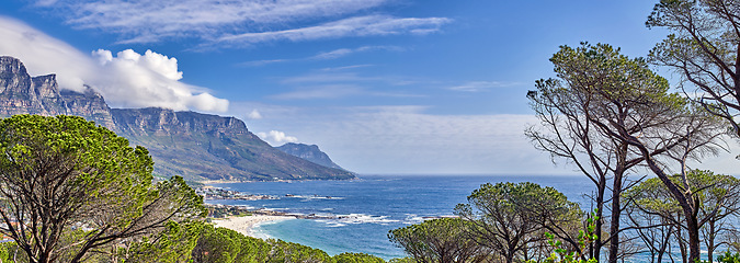 Image showing A relaxing ocean view with tall trees, mountains and blue sky with copyspace in Cape Town, South Africa. Popular tourist attraction destination for summer vacation and adventure walks in nature