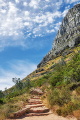 Image showing A scenic walking path in nature with greenery and plants against a blue sky with copy space. Hiking trail leading up the mountain on Lions Head and Table Mountain in a National Park in Cape Town.