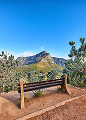 Image showing Relaxing botanical garden park bench to enjoy zen landscape view of scenic mountains and nature reserve. Table Mountain National Park in Cape Town, South Africa with calm blue sky and local seating