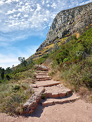 Image showing Scenic hiking trail along Table Mountain in Cape Town, South Africa with lush plants against a cloudy blue sky background. Panoramic of a beautiful and rugged natural landscape to explore and travel