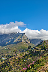 Image showing Copyspace and landscape of Table Mountain with lush pasture and flowers with cloudy blue sky background. Vegetation on a grassy slope or cliff with hiking trails to explore Cape Town, South Africa