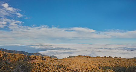 Image showing landscape of open field of yellow grass on a hill for a relaxing outdoor camp or hike in nature while on vacation in La Palma island during autumn. Mountain top at sunset with blue sky and clouds