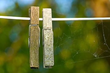 Image showing Wooden pegs with spider webs on a washing line against a blurred background. Closeup of a cobweb strung alongside two weathered old clothespins. Ecosystem and biodiversity of nature in a modern world