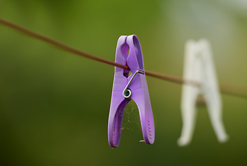 Image showing Clothespin. Closeup of neglected clothes pegs and housework, chores. Plastic clothespins hanging on washing cable or laundry line with bokeh and copy space outside. An abandoned hygiene routine.