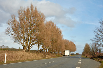 Image showing Trees along a highway street with cloudy blue sky background in the countryside during autumn with copy space. Scenic landscape to admire during a road trip. Route to travel through a dry meadow