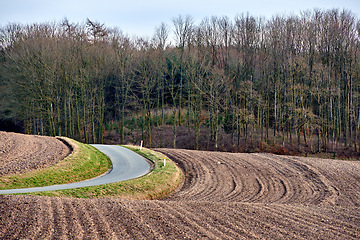 Image showing The landscape of farm land and tall green trees near a curvy road with a blue sky. Beautiful view of plowed ground near a forest and roadway on a winter day. Tidy and well maintained field outdoors