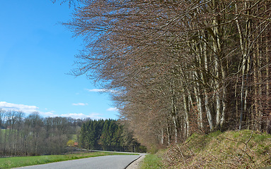 Image showing A countryside road in spring with blue sky background and copy space. A nature landscape of an empty roadway winding through forest trees with regrowth in a sustainable eco environment on a sunny day