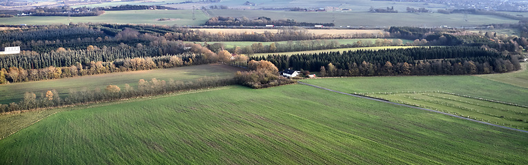 Image showing Green landscape of a countryside with autumn colors. Aerial view of a sustainable, cultivated farmland or flat land with grass surrounded by a traditional farm house and lots of forest trees