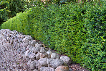 Image showing Landscaping with rocks and ferns as a boundary wall with copy space. Plants and shrubs growing in a hedge in a lush garden. Exterior architecture with a rocky fence enclosure in nature outdoors